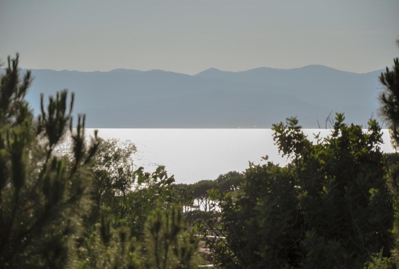 Sahil Butik Otel Çeşme 外观 照片